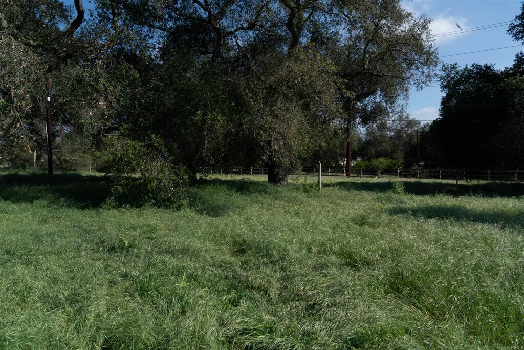 Property Photo:  13712 Hilldale Road  CA 92082 