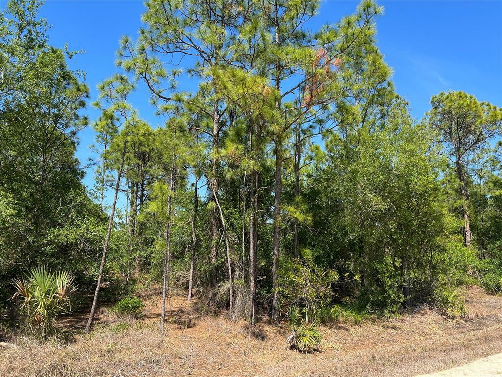 Property Photo:  27116 Badger Drive  FL 33955 