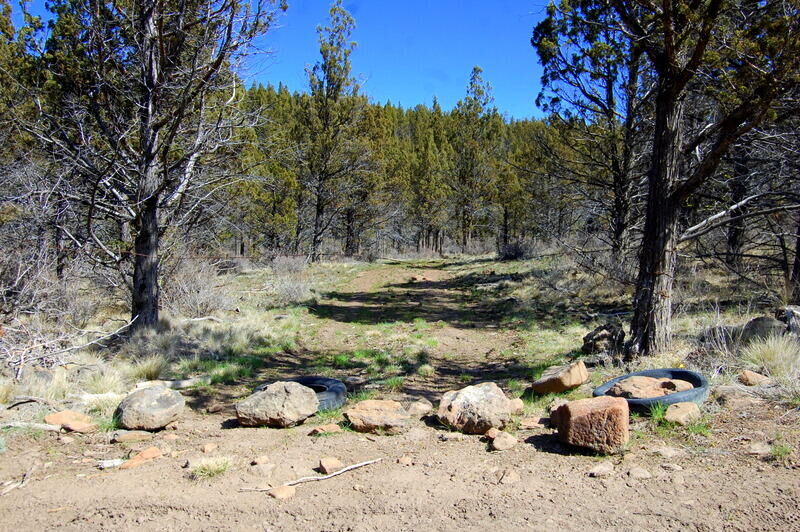 Property Photo: 0 Tl 5300 Thomas Road OR 97754