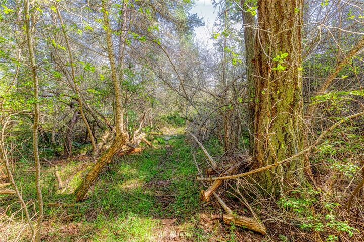 Property Photo: 0 Cattle Point Road WA 98250