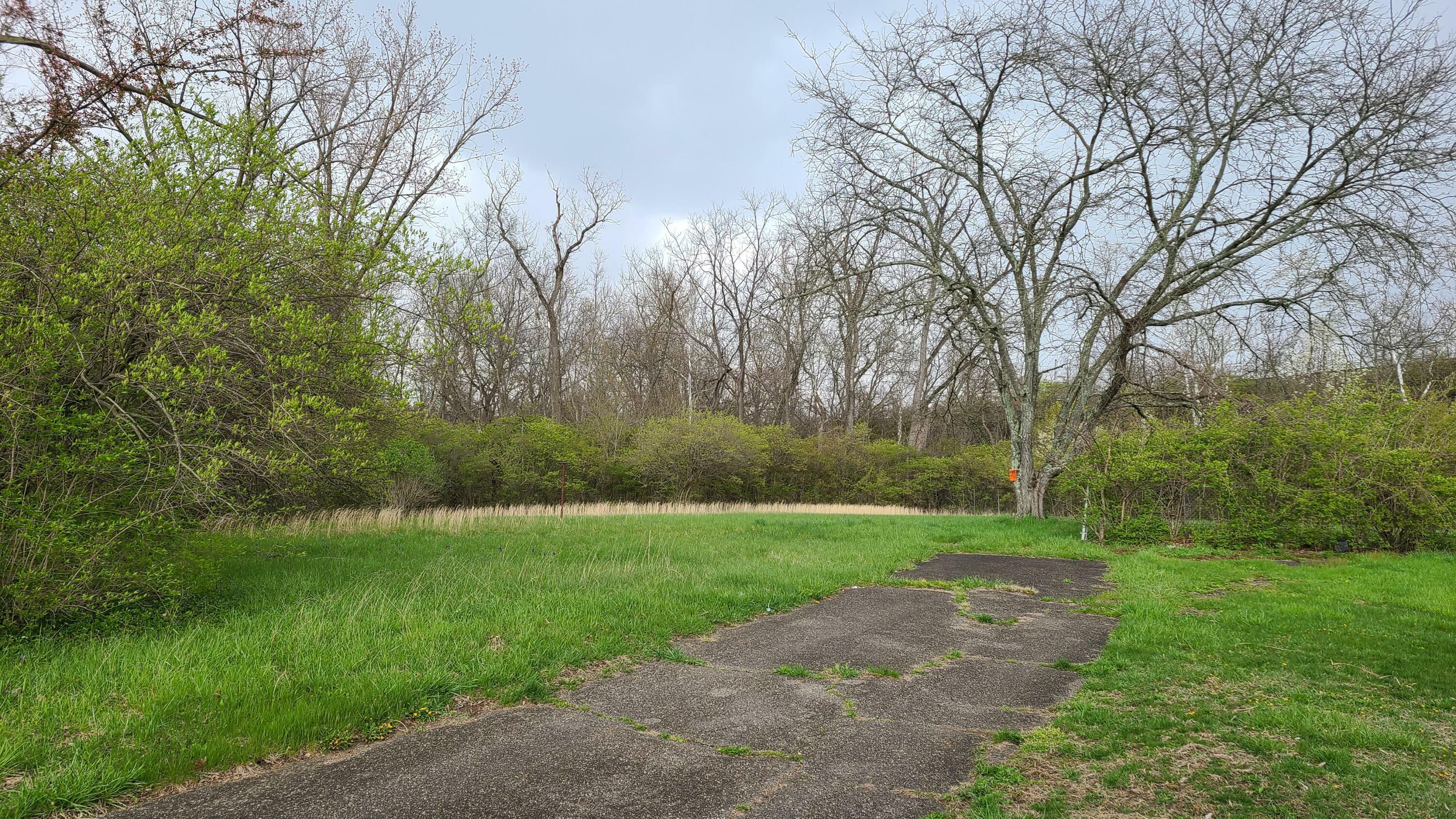 Property Photo: 2881 Rivercliff Road OH 43223