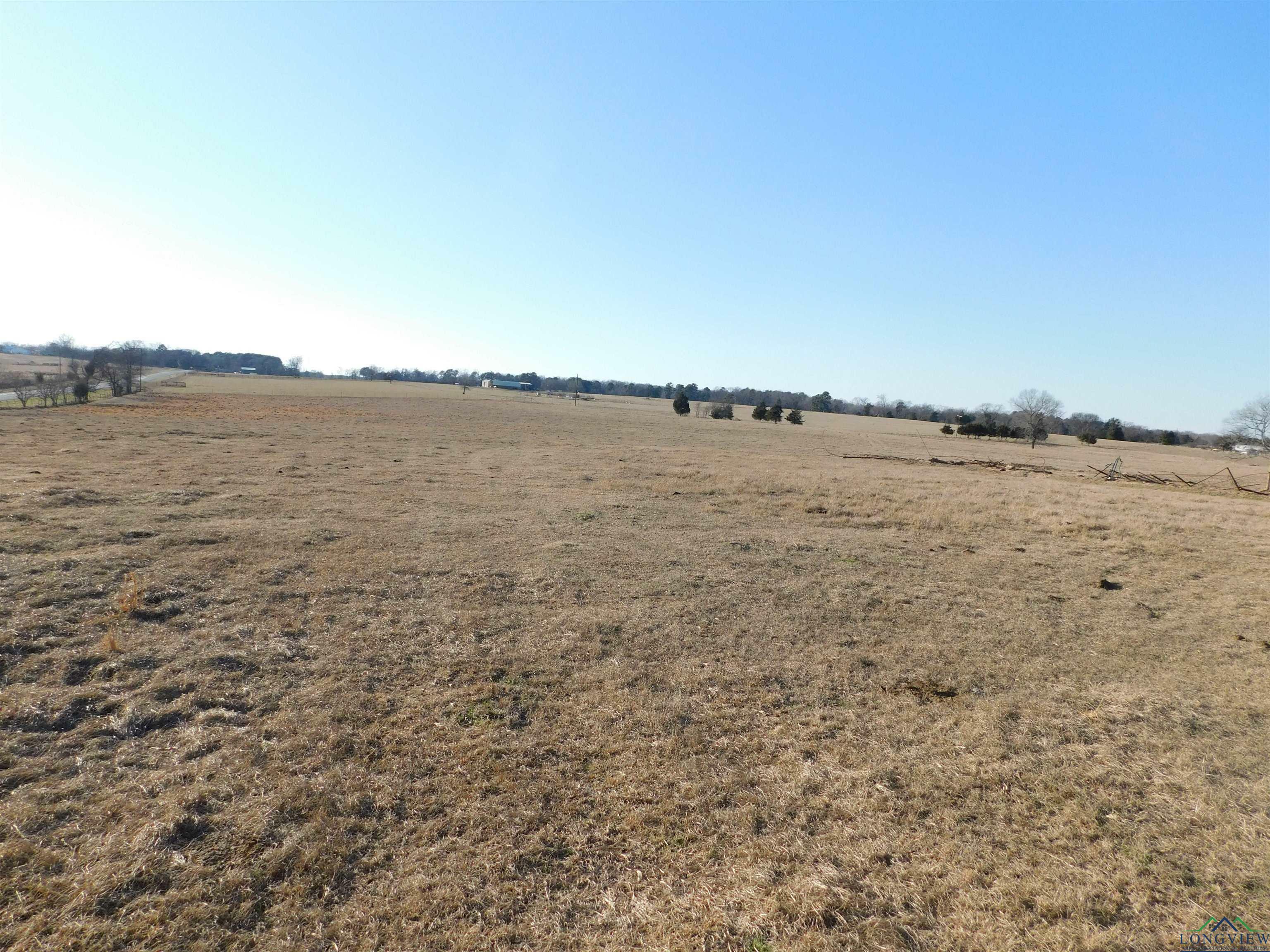 Property Photo:  Tbd Fm 1519  TX 75686 