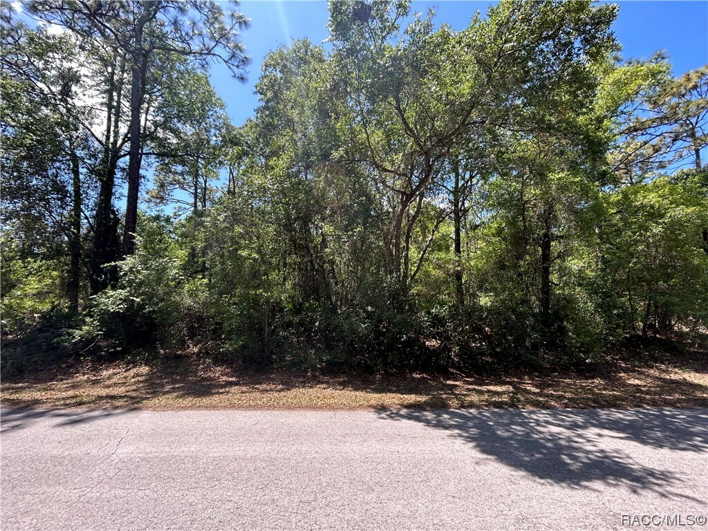 Property Photo:  9256 N China Pink Way  FL 34428 