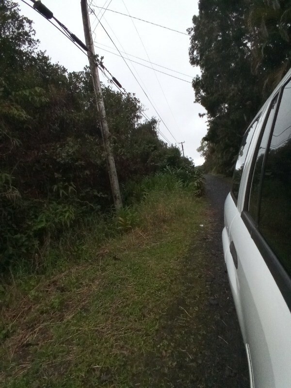 Kanahele Pl  Volcano HI 96785 photo