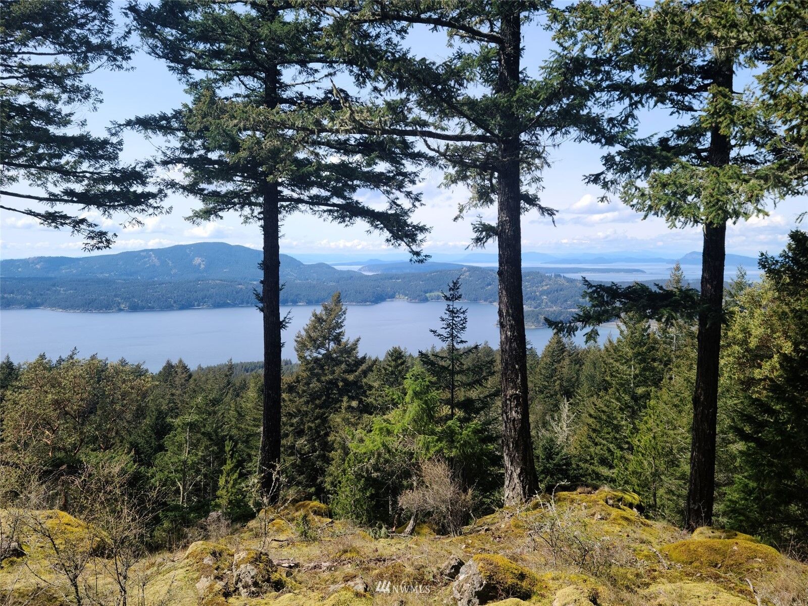 Property Photo:  60  Blue Jay Way  WA 98245 