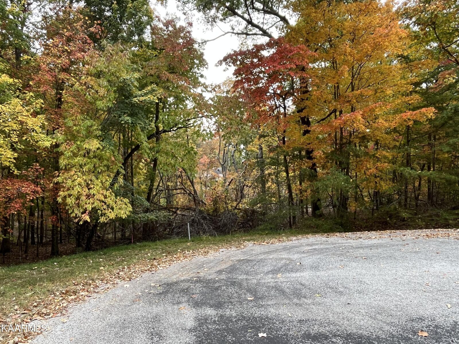 Property Photo: 22 Harrell Lane TN 38558