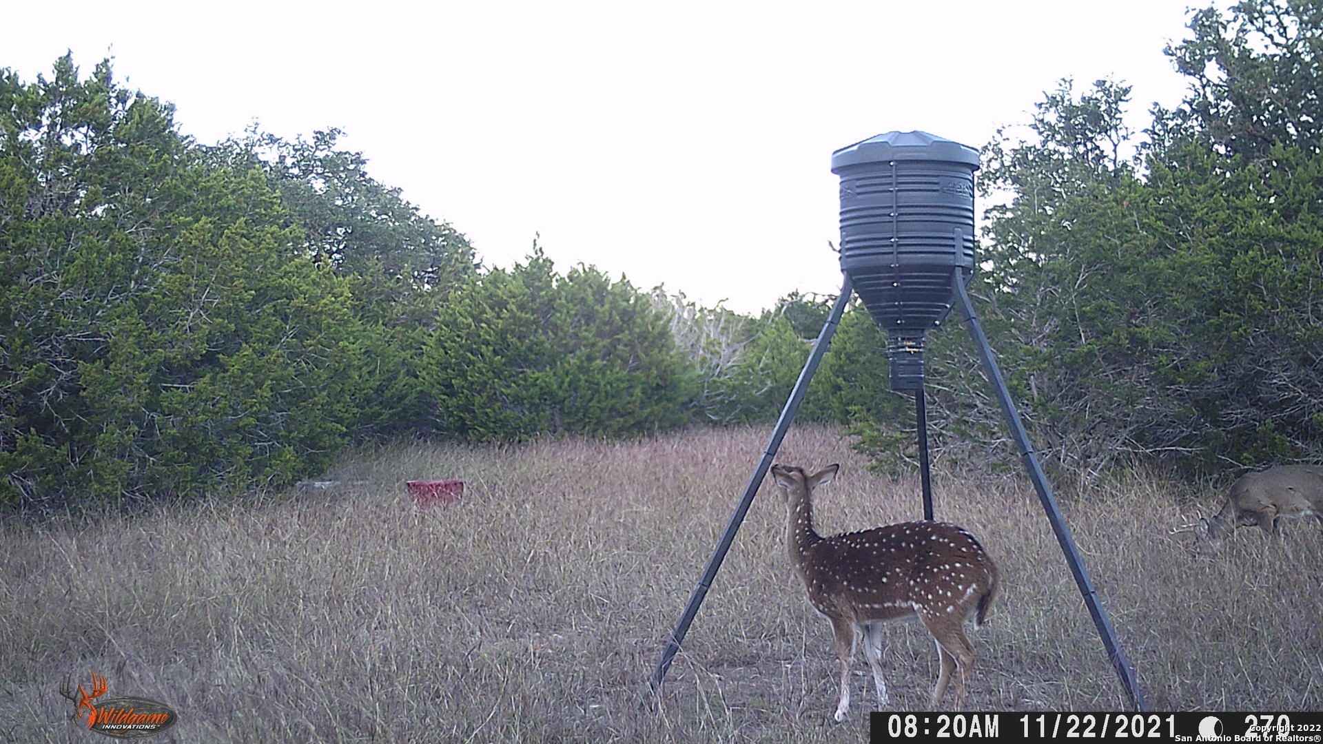 Property Photo:  225 Old Sunset Ranch Rd  TX 78058 