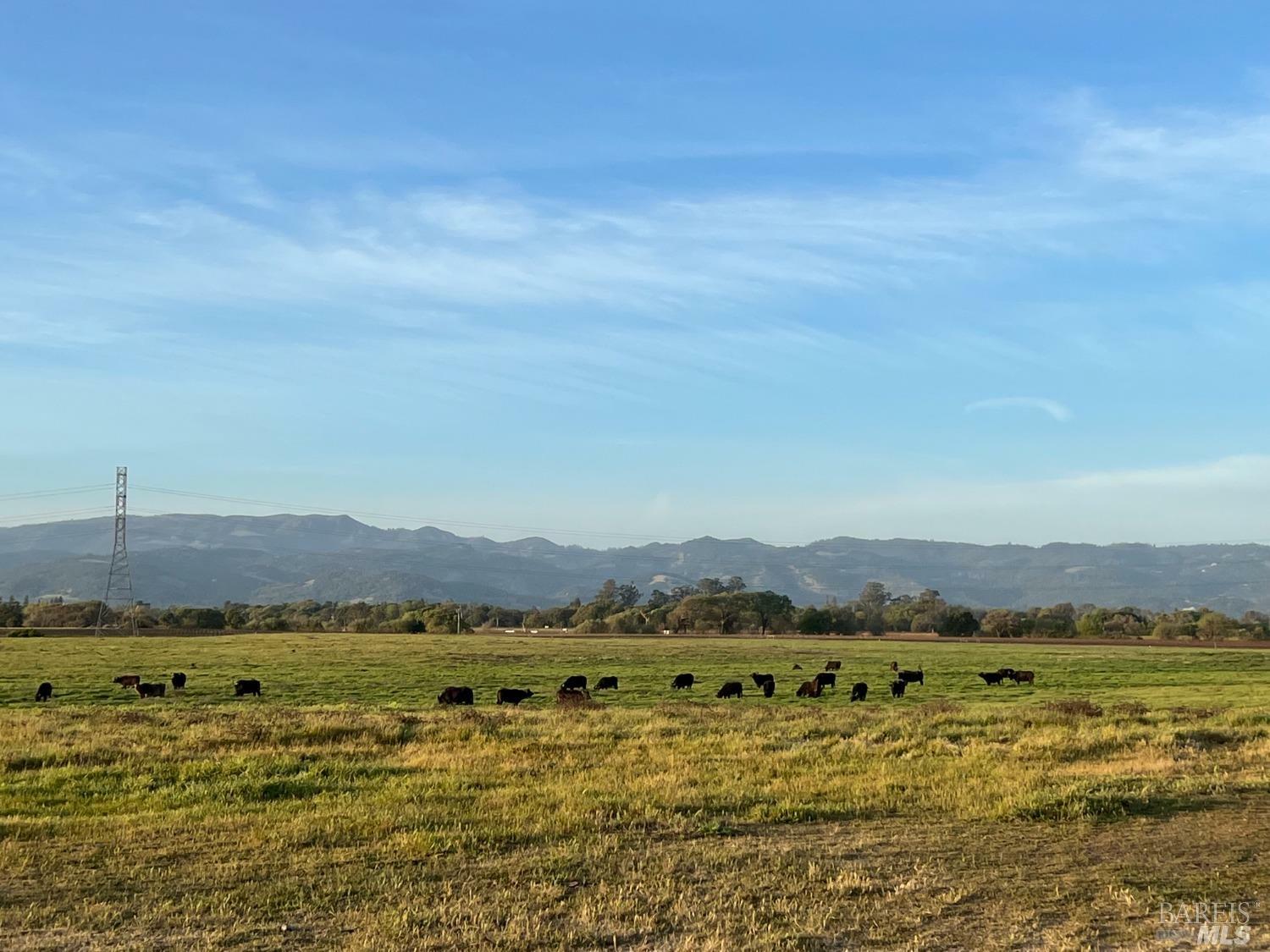 Property Photo: 22100 Arnold Drive CA 95476