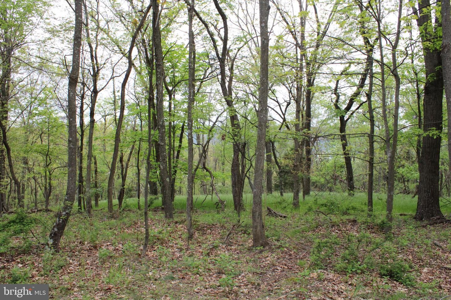 Property Photo:  Lot J Orchard Point Road  WV 25431 
