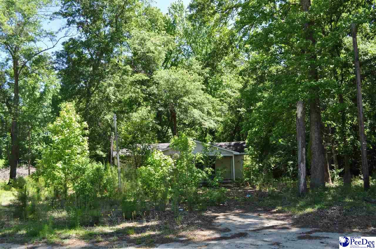 Property Photo:  204 American Legion Road  SC 29571 