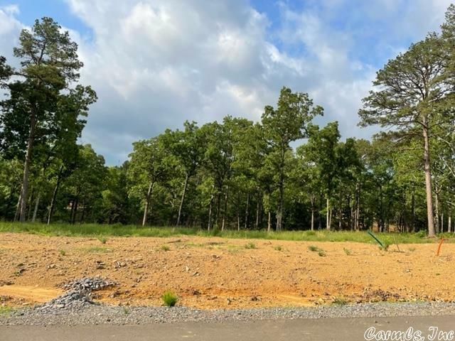 Orchard Hill Lot 26 Ph 3  Conway AR 72034 photo