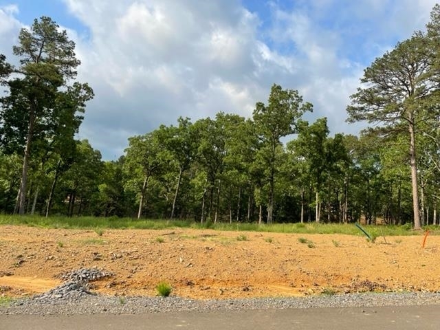 Property Photo:  Orchard Hill Lot 15 Ph 3  AR 72034 