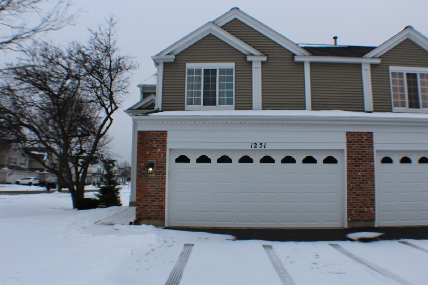 Property Photo:  1251 River Ash Court  IL 60103 