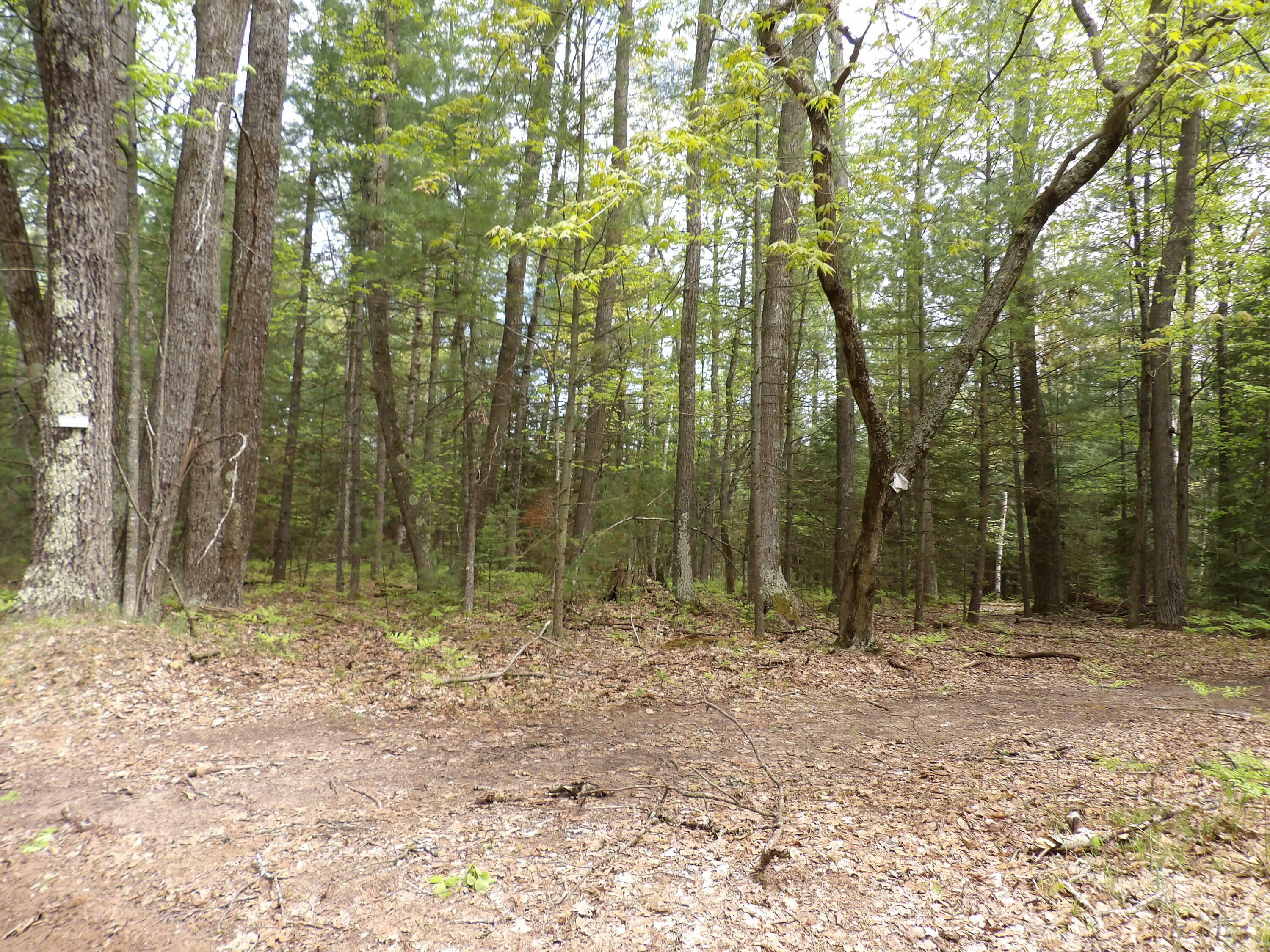 Property Photo:  Lot 9 Club Road  MI 48656 