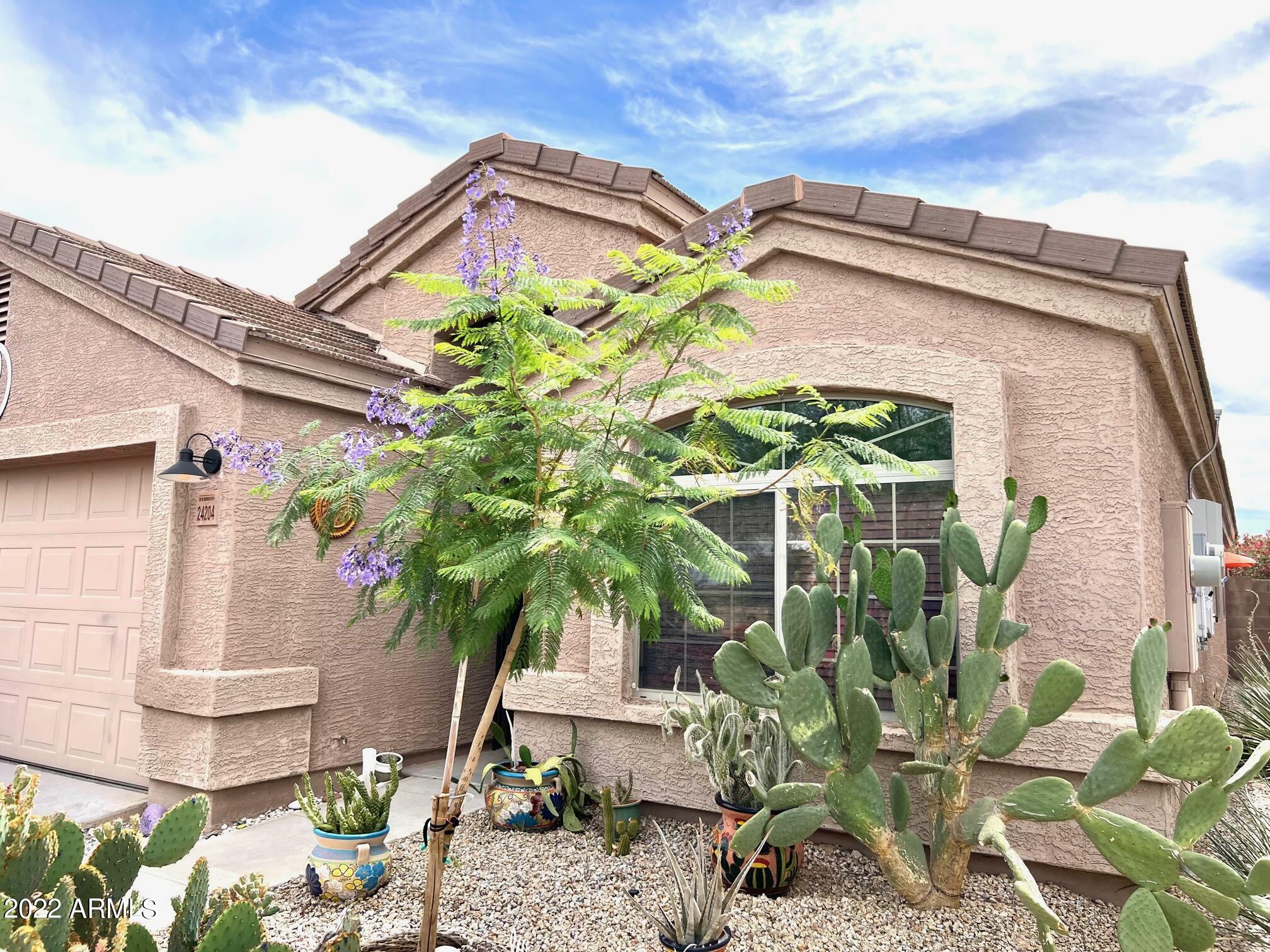 Property Photo:  24204 N High Dunes Drive  AZ 85132 