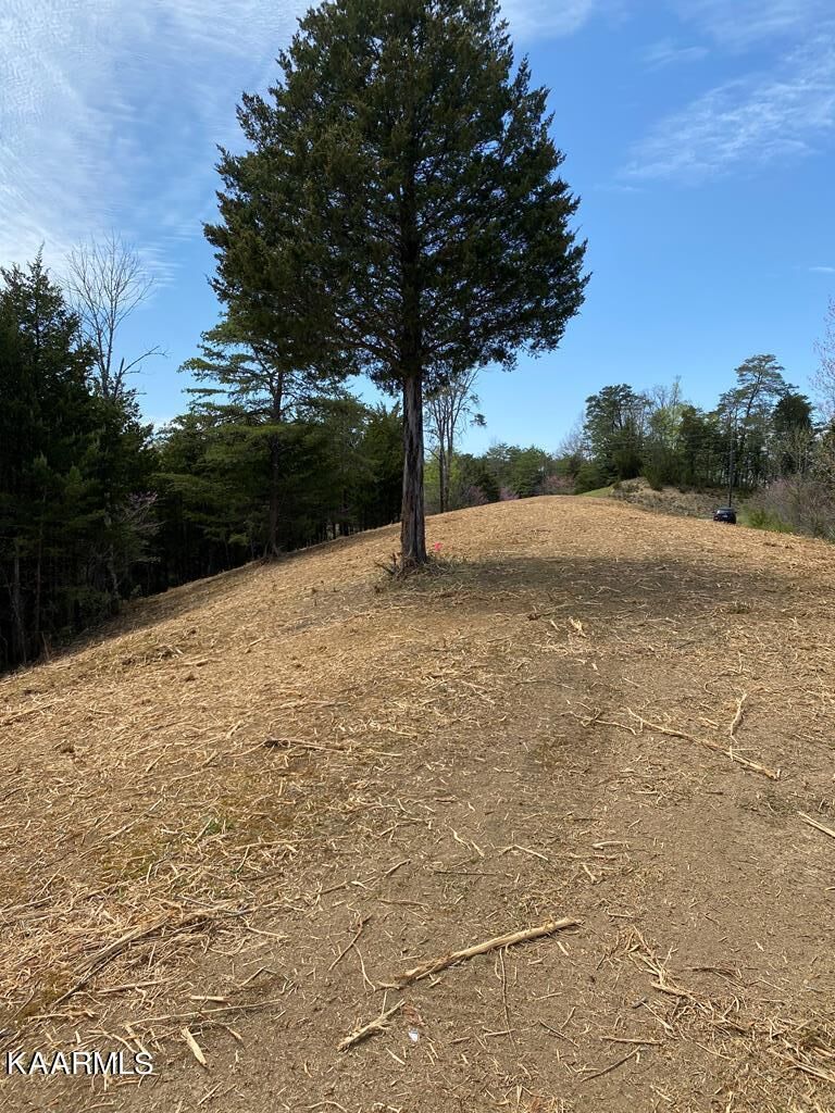 Property Photo:  Lot 17 Harbor Point Drive  TN 37876 