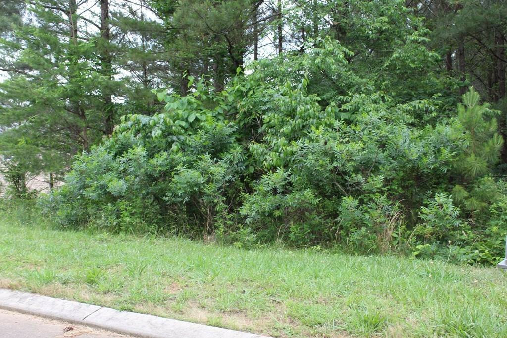 Property Photo:  123 White Water Run Lane  TN 37361 