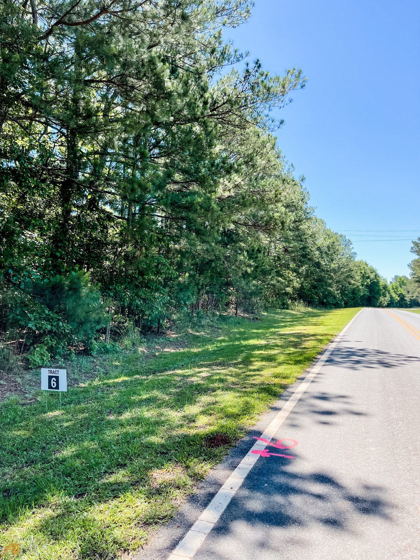 Property Photo:  33.09 Acres Goolsby Road Tract 6  GA 31064 