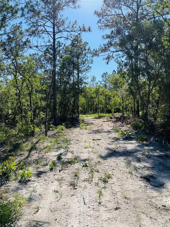 Property Photo:  Lot 4 SW 127th Avenue 1  FL 34432 