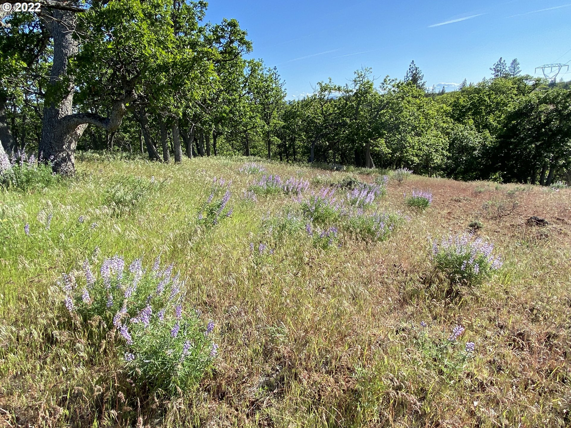 Property Photo:  Off Holter Rd  WA 98620 