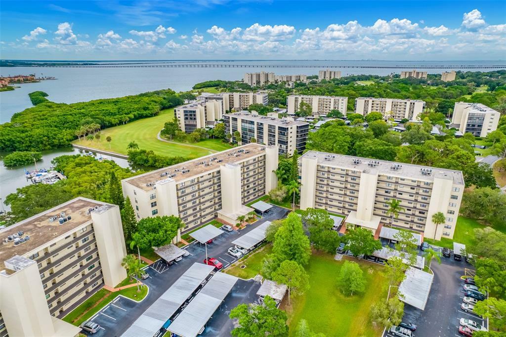 Property Photo: 900 Cove Cay Drive 2F FL 33760