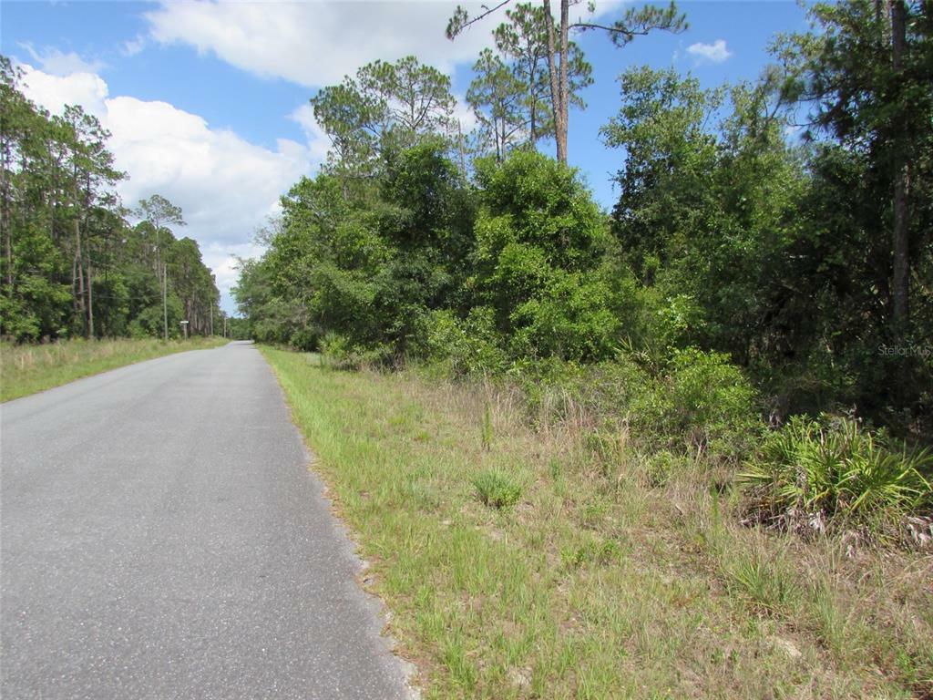 Property Photo:  0 SW Tiger Lake Boulevard W  FL 34431 