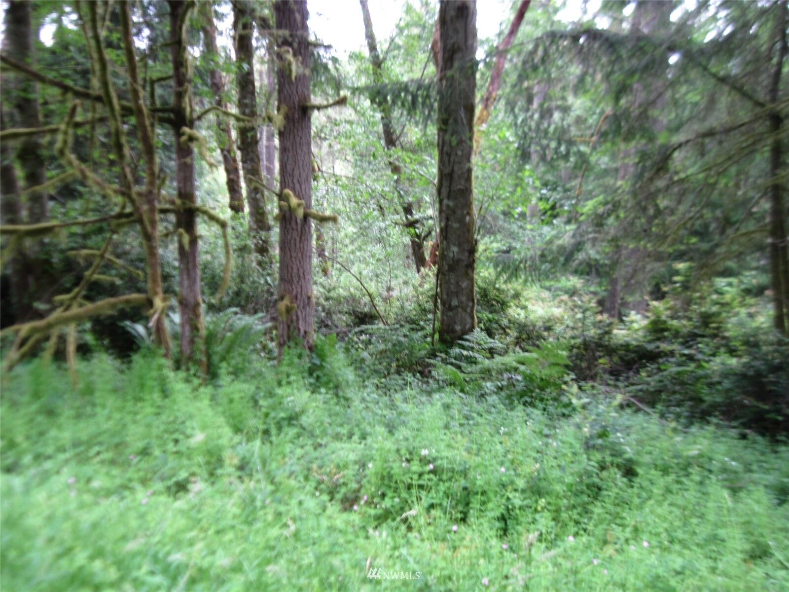 Property Photo: 11513 Breaker Way WA 98303