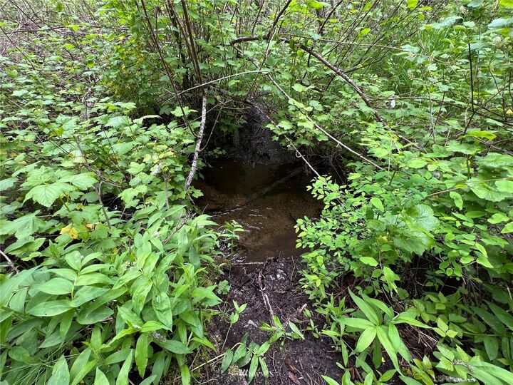 Property Photo:  0 Tbd Back Acre Lane  WA 99166 