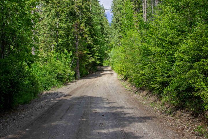 000 E Emery Rd  Chattaroy WA 99003 photo