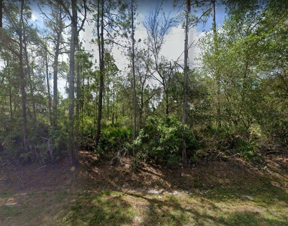 Property Photo:  23431 Goldcoast Avenue  FL 33980 