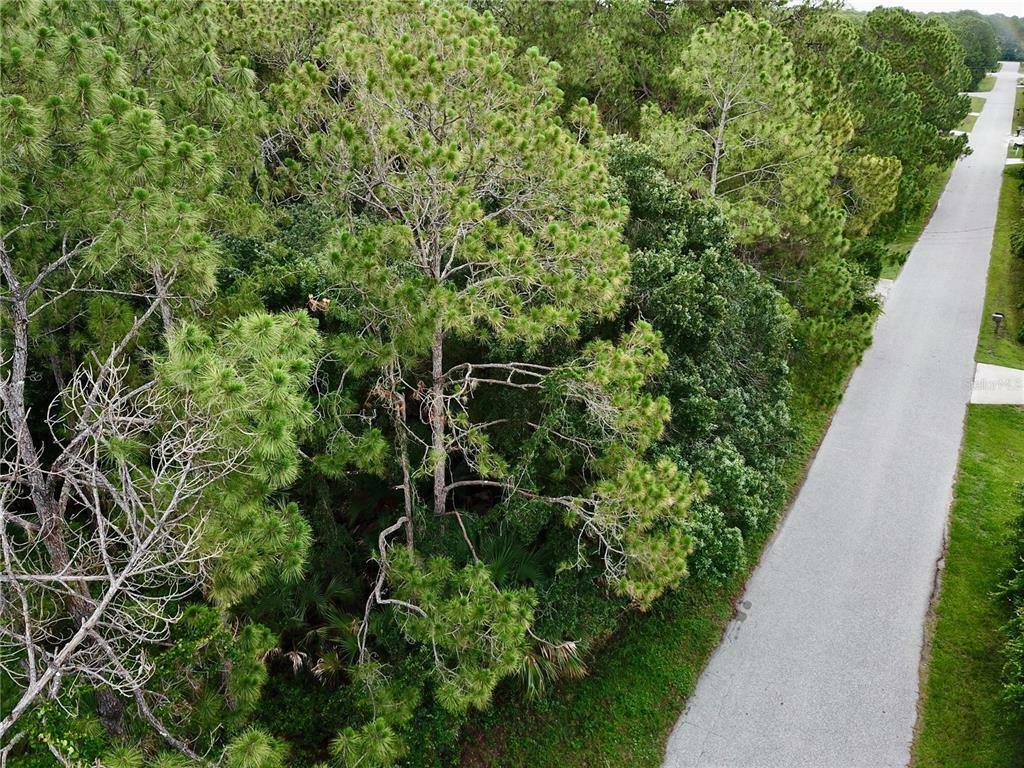 Property Photo:  Lot 21 Eggelstom Avenue  FL 34291 