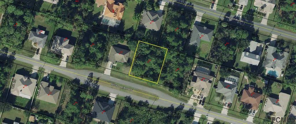 Property Photo:  32 Buffalo Meadow Lane  FL 32137 