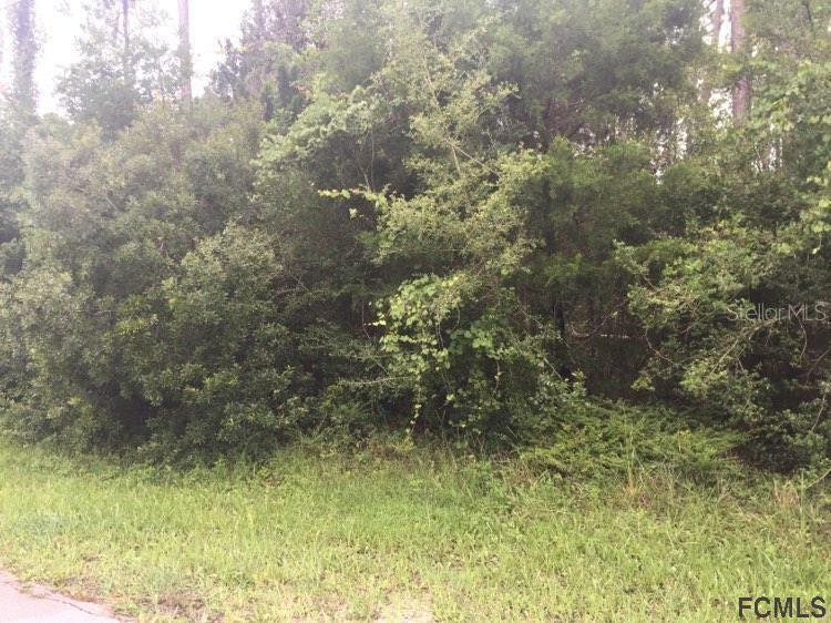 Property Photo:  40 Llama Trail  FL 32164 