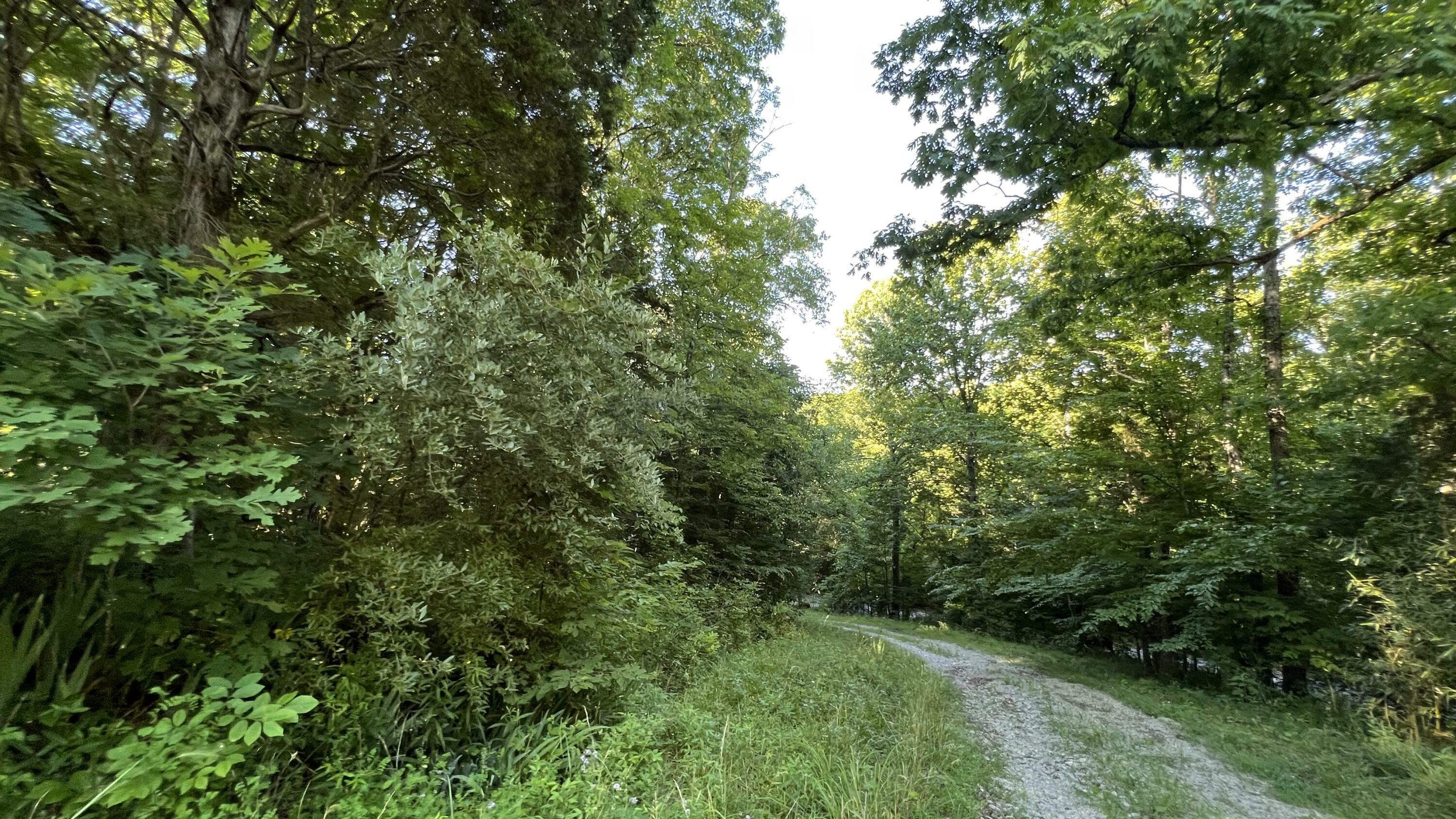 Property Photo:  2236 Alton Station Road  KY 40342 