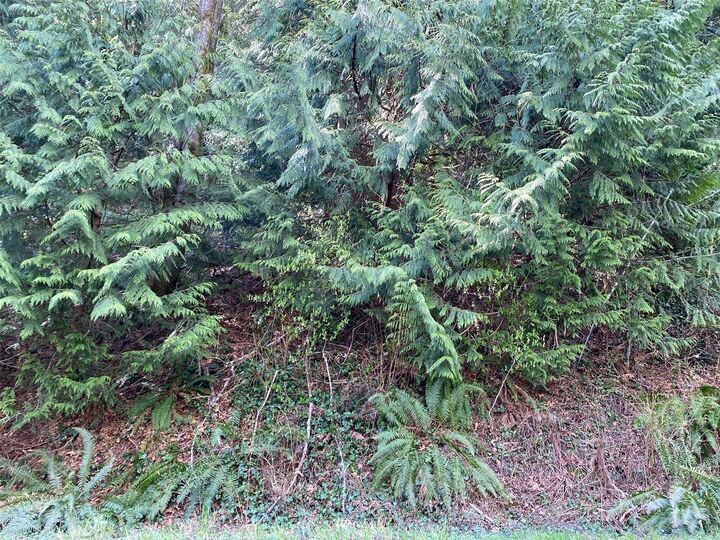 Property Photo:  0 Peak Drive  WA 98284 