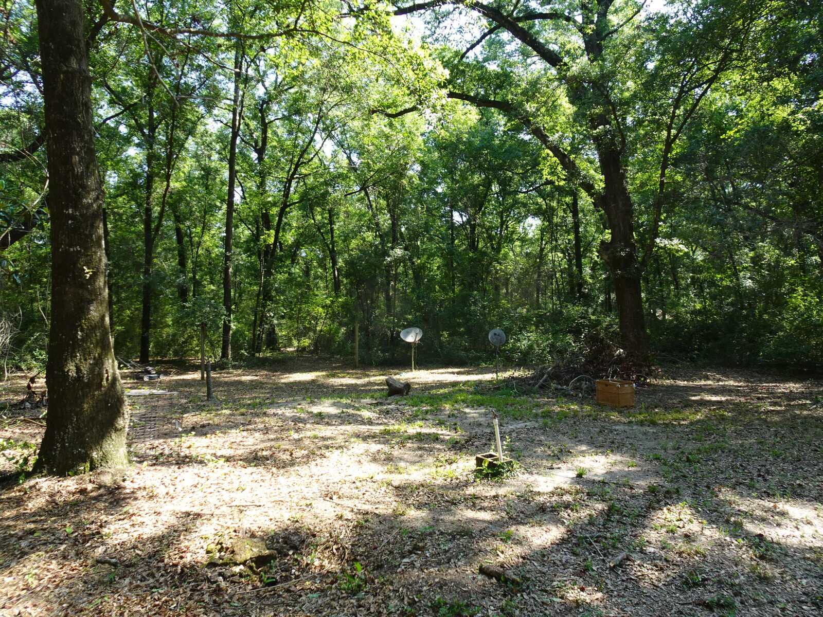 Property Photo:  25 Caswell Drive  FL 32435 