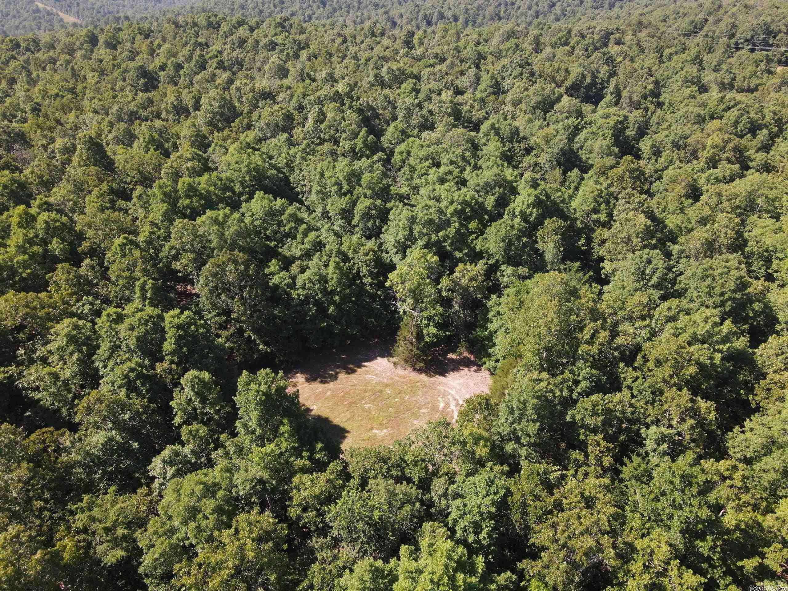 Property Photo: Tract D 41.43 Deer Haven Trail AR 72576