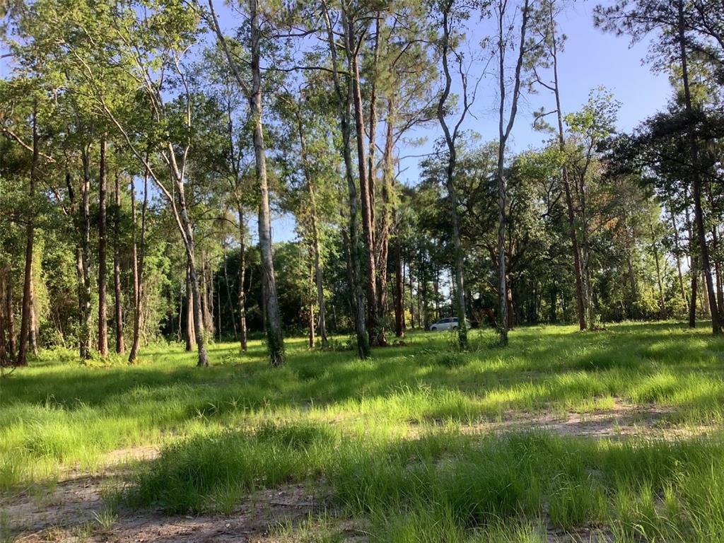 Property Photo: 2711 State Road 33 FL 34714