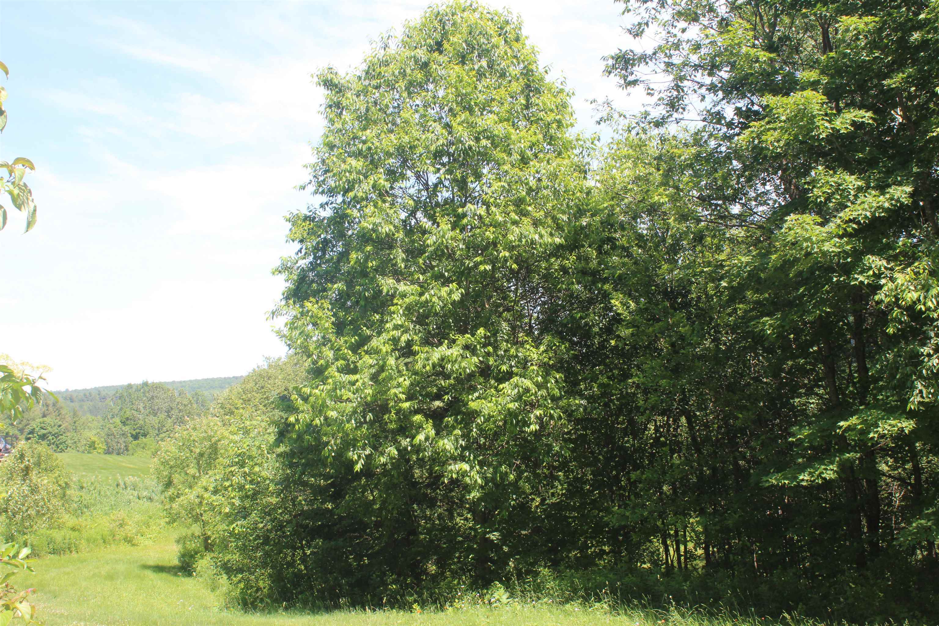 Property Photo: 0 Keiser Pond Road VT 05873