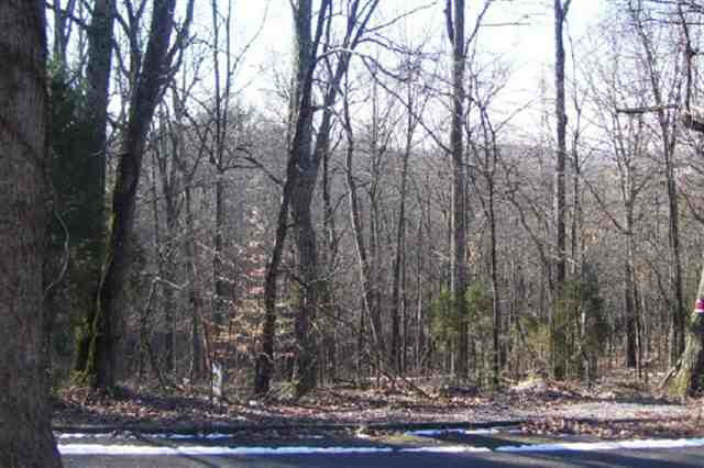 Property Photo:  615 Benjamin Boulevard  TN 37814 
