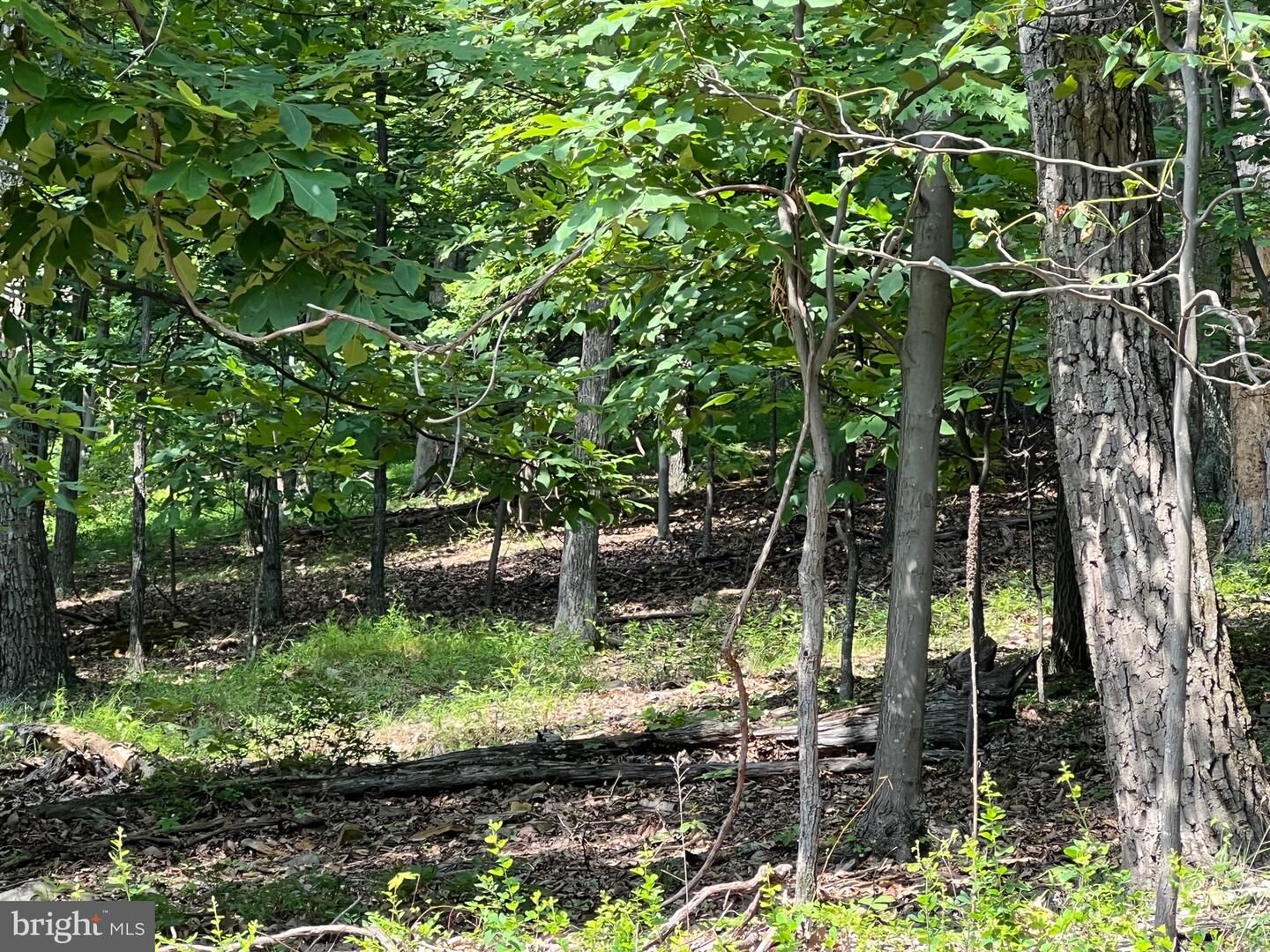 Property Photo: 1855 Ridge Road VA 20169