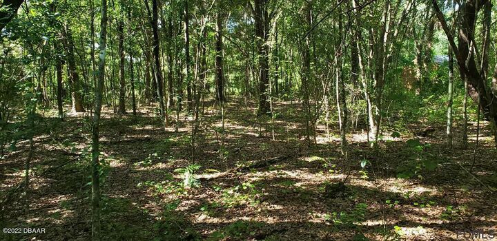 3707 Pear Avenue  Bunnell FL 32110 photo