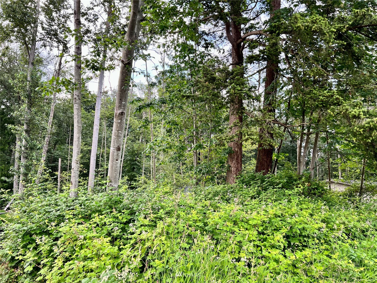 Property Photo: 0 Neptune Circle WA 98248
