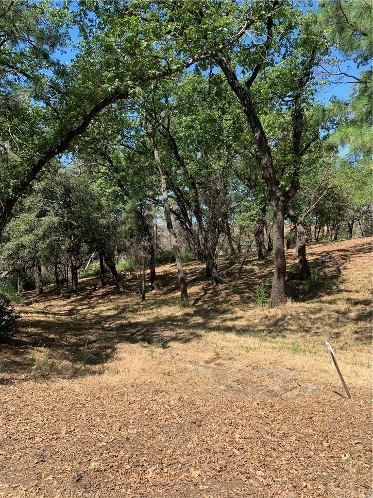 Property Photo:  4896 Malibu Drive  CA 95969 