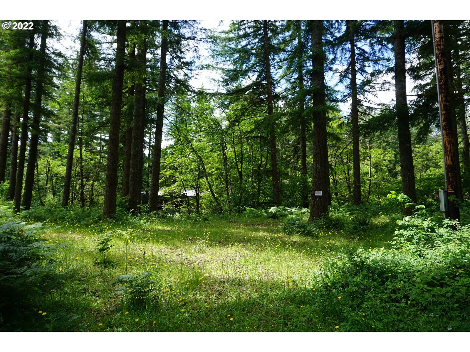 Property Photo:  30803 NE Sunset Falls Rd  WA 98675 