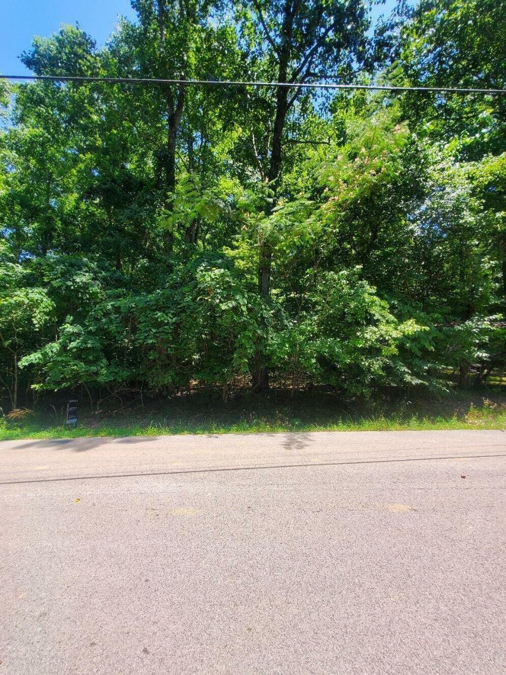 Property Photo: 0 Richardson Rd KY 42544