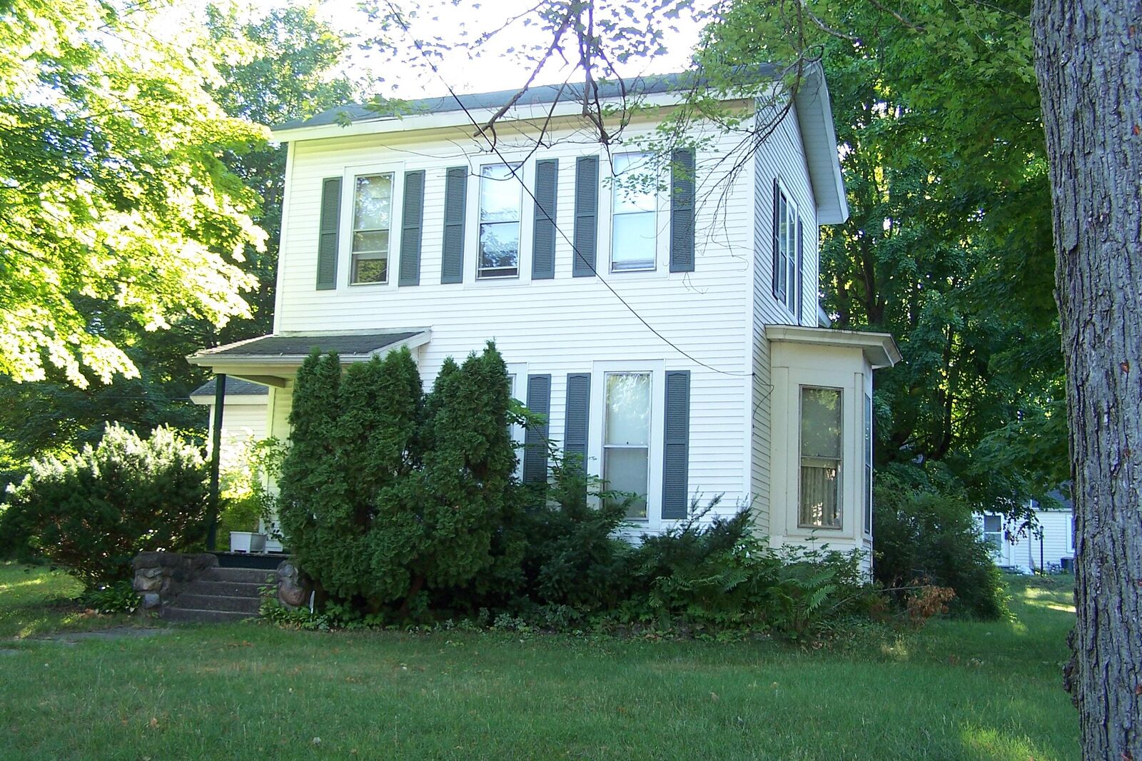 Property Photo: 306 Orchard Street MI 49047