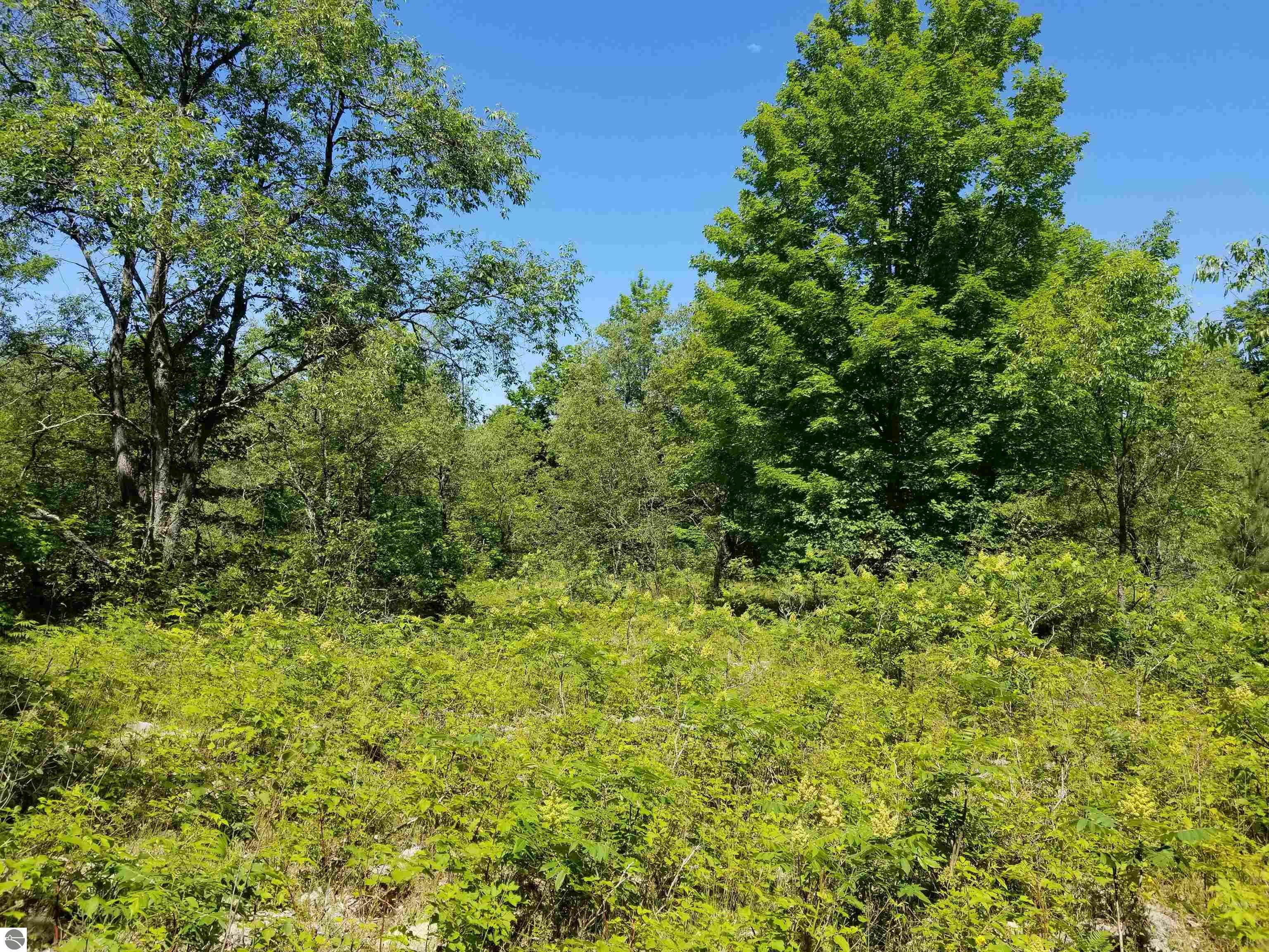 Property Photo:  00 Woodridge Acres  MI 49659 