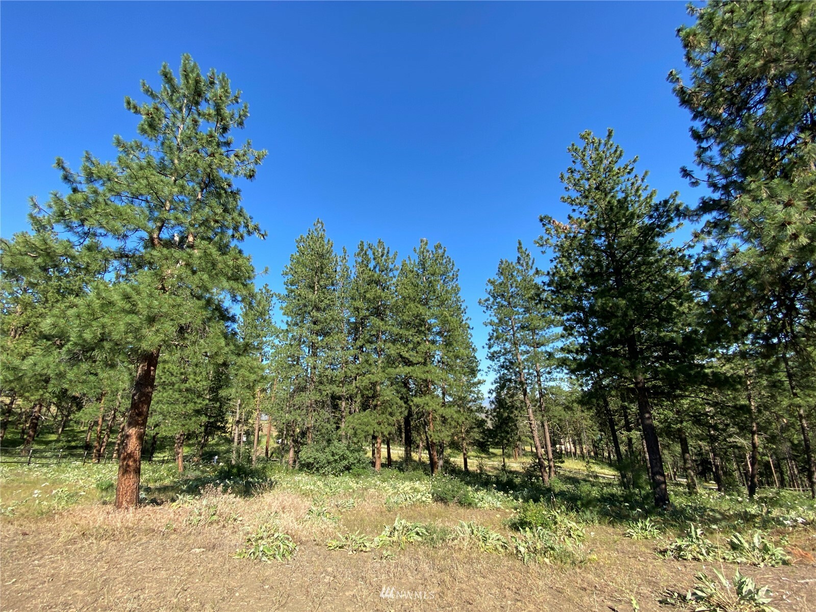 Property Photo:  0 Lot 116 Nighthawk Ridge Road  WA 98862 