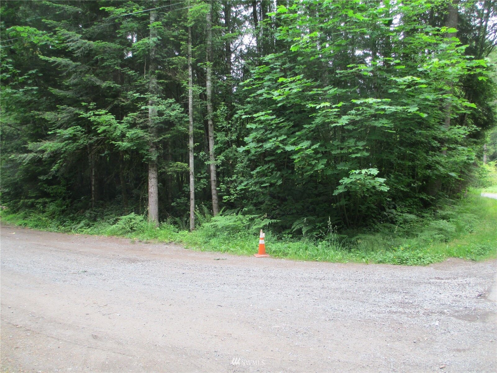 Property Photo:  55219 313th Avenue E  WA 98304 